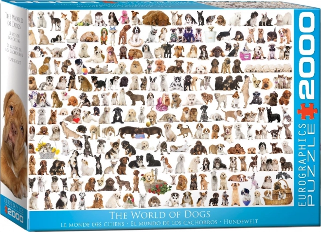 Eurographics Puzzle Welt der Hunde 2000 Teile