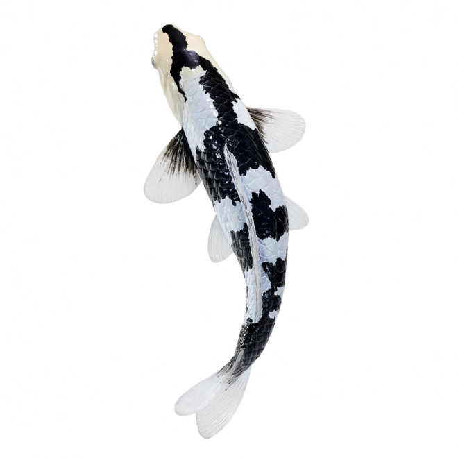 Mojo Karpfen Koi Shiro Utsuri
