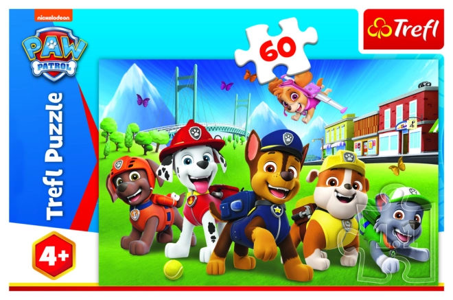 Beliebtes PAW-Patrol-Motiv
