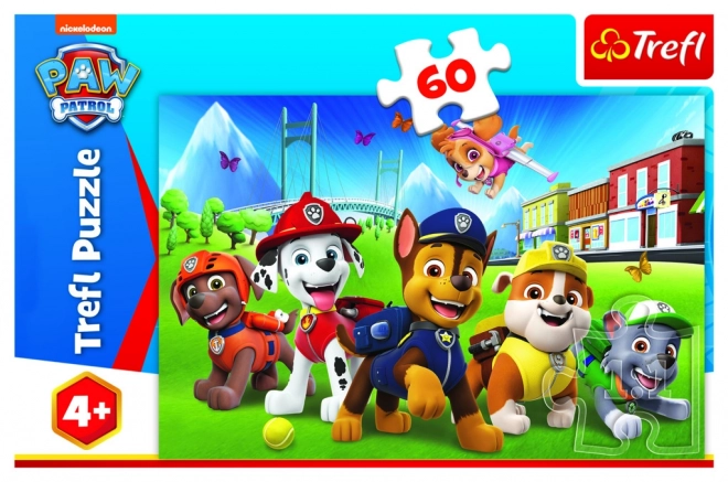 Puzzle mit 60 Teilen - Auf der Lichtung Paw Patrol