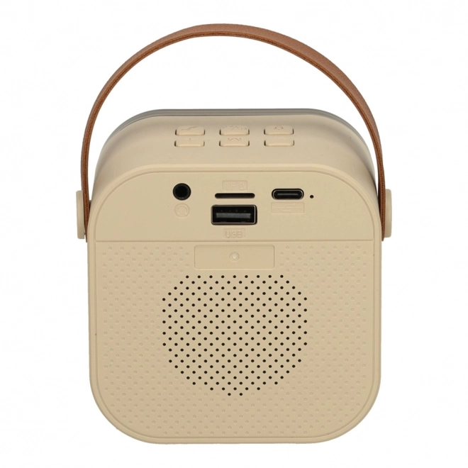 Karaoke-Set mit 2 Mikrofonen und Bluetooth-LED-Lautsprecher
