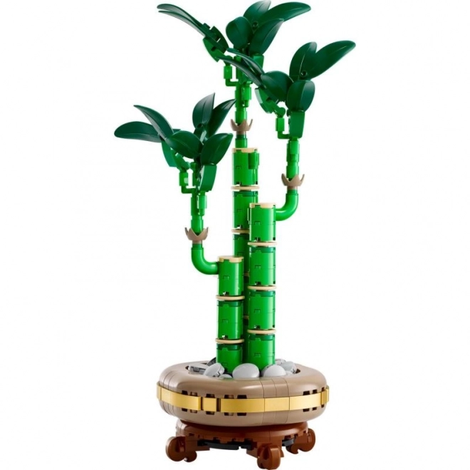 Dekorative LEGO Botanicals Dracena Sanderiana