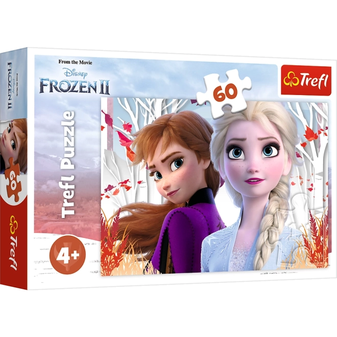 Frozen 2 Verzauberte Welt von Anna und Elsa Puzzle 60 Teile