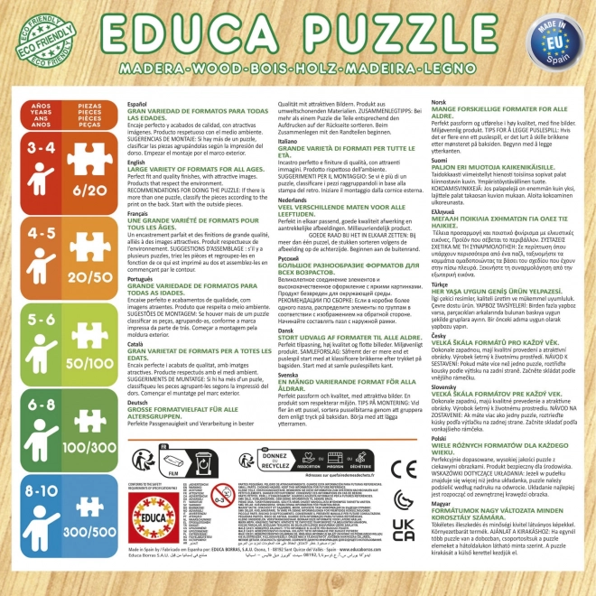 Holzpuzzle Der König der Löwen 2×25 Teile EDUCA