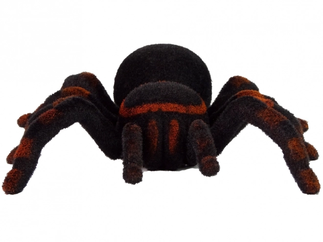 Ferngesteuerte schwarze Tarantel Spinne