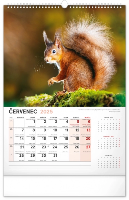 Wandkalender Jagd 2025