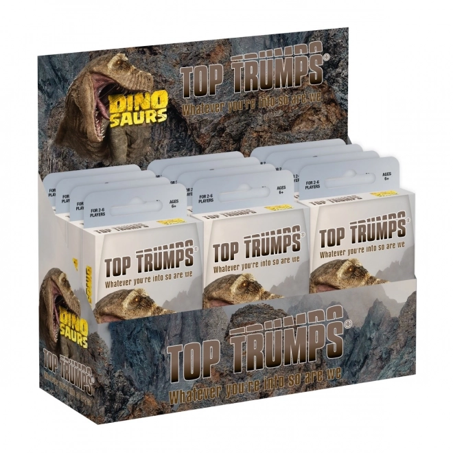 Dinosaurier Kartenspiel