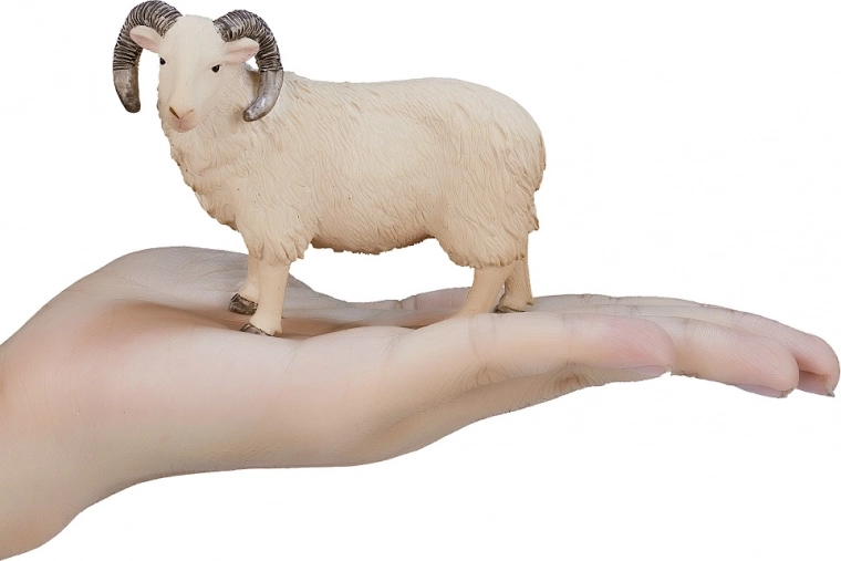 Kompakte Größe für kleine Hände