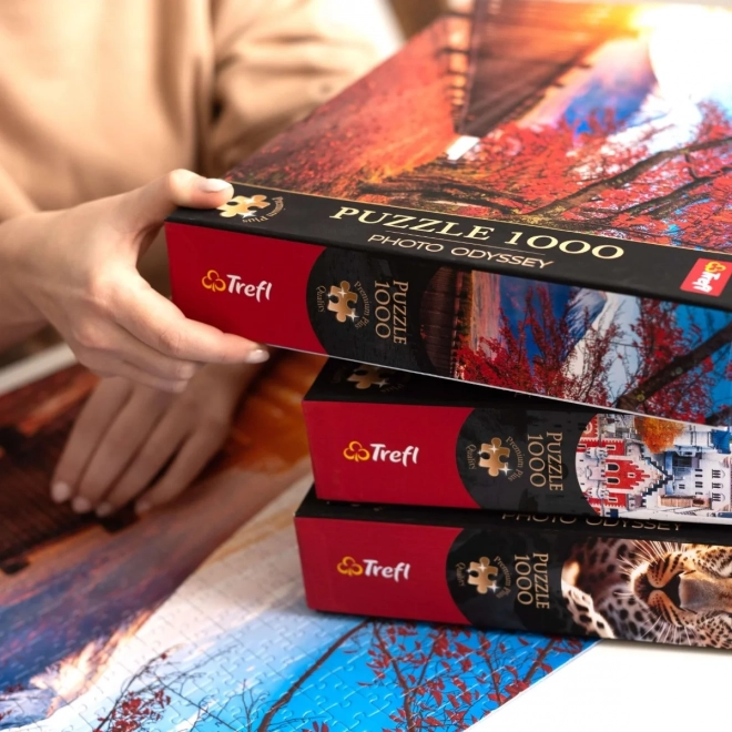 Puzzle Premium Plus Frühlingserwachen