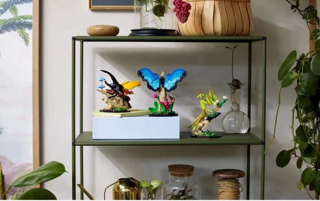 Lego Ideas Insektensammlung