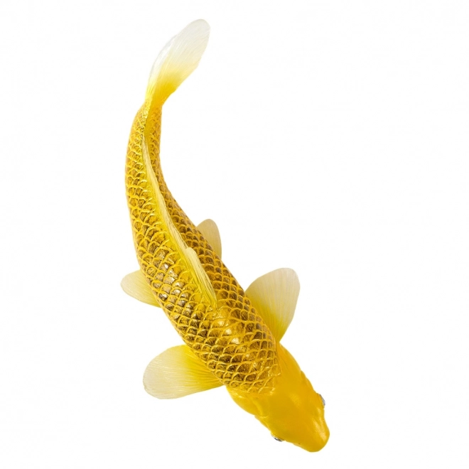 Mojo Karpfen Koi Matsuba