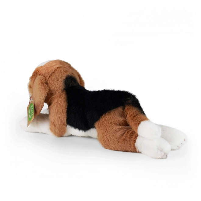 Kuscheltier Beagle liegend 20 cm umweltfreundlich