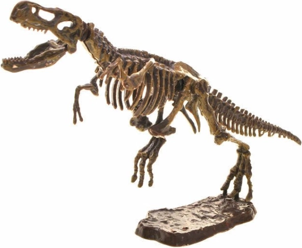 Zusammenbaubares 3D‑Skelett des T‑Rex