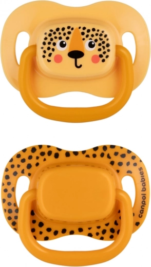 Schnelle Sterilisation in der Mikrowelle