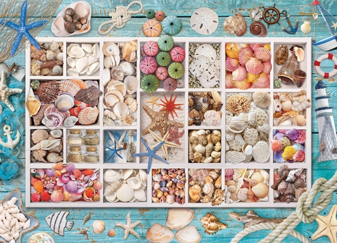 Eurographics Puzzle Laurinas Muschelsammlung 1000 Teile