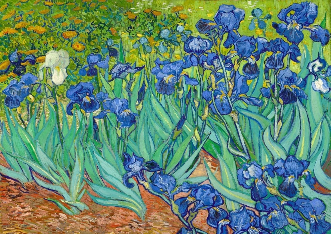 Puzzle Vincent Van Gogh: Iris 1000 Teile