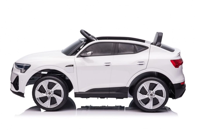 Audi E-Tron Autobatterie Weiß QLS-6688