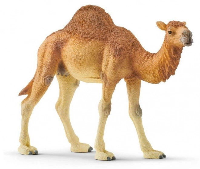 Schleich Dromedar Kamel Wild Life Figur