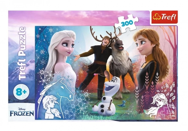 Frozen II Magische Zeit Puzzle 300 Teile