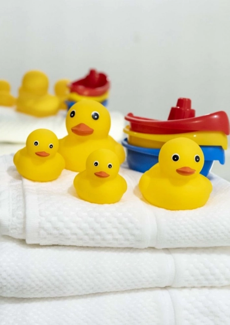 Badewannenset mit Enten und Booten