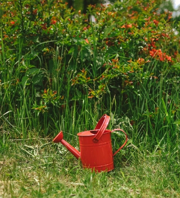 Rote Metall-Gießkanne für den Garten