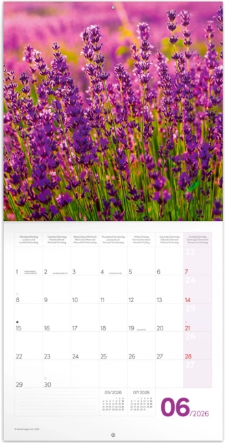 Notizkalender Provence 2026