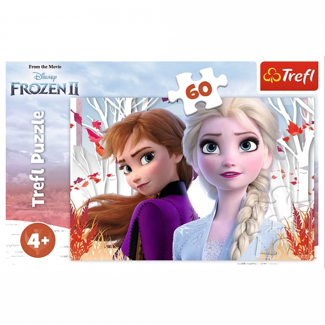 Frozen 2 Verzauberte Welt von Anna und Elsa Puzzle 60 Teile