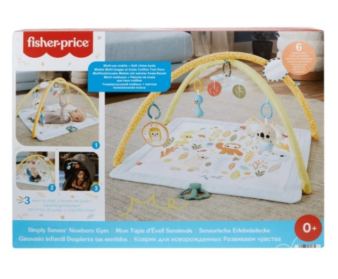 Fisher-Price Spieldecke mit sensorischem Spielzeug