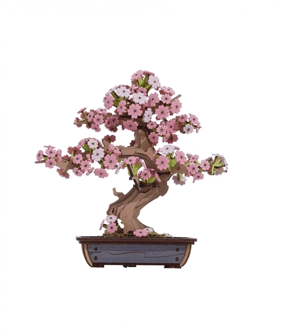 Robotime Holz-3D-Puzzle Bonsai Sakura
