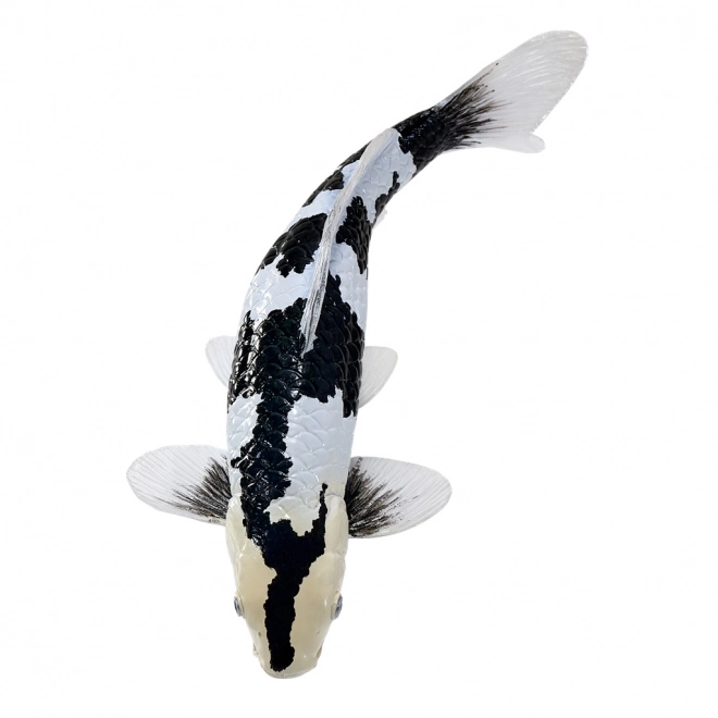Mojo Karpfen Koi Shiro Utsuri