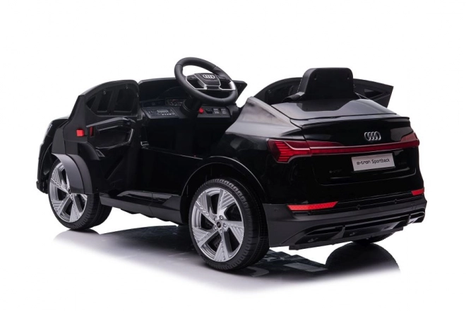 Audi E-Tron Autobatterie Schwarz QLS-6688