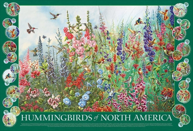 Puzzle Kolibris Nordamerikas 2000 Teile von Cobble Hill