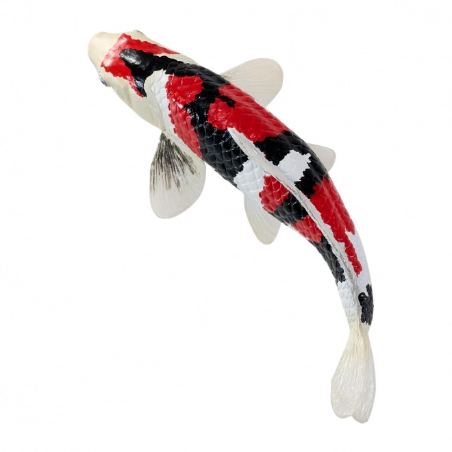 Mojo Karpfen Koi Showa Sanshoku