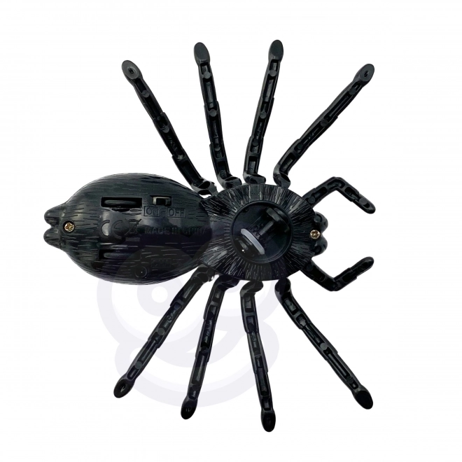 Interaktive ferngesteuerte Spinne
