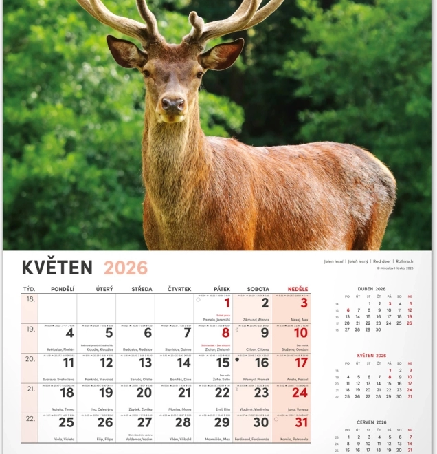 Jagd-Wandkalender 2026