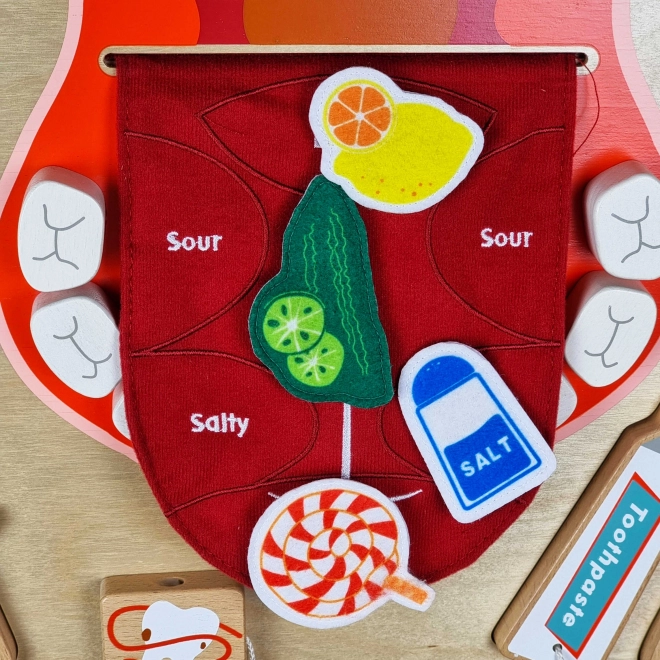 Masterkidz Wand-Sensoriktafel Mundhygiene Montessori