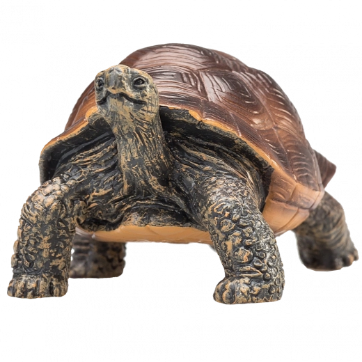 Naturgetreue Details und natürliche Farbgebung