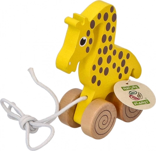 Praktische 60-cm-Schnur