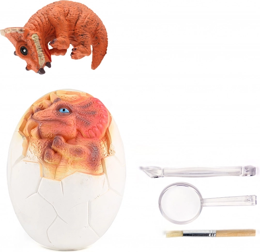 Alles Nötige für kleine Paläontologen