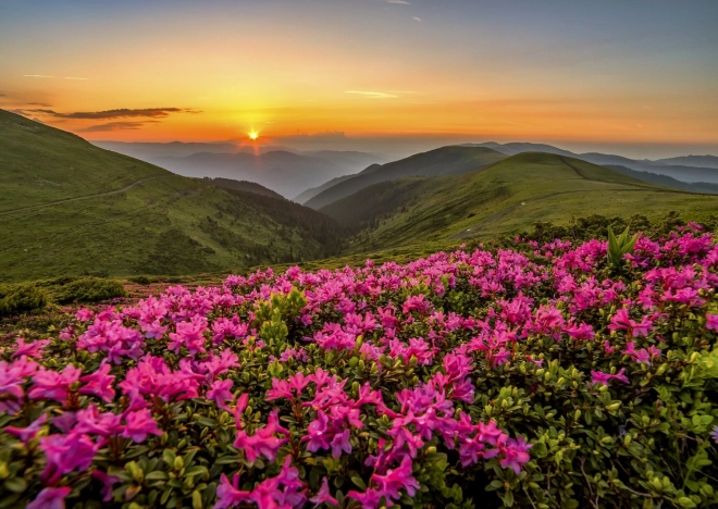 Genieße Puzzle Rosaroter Sonnenuntergang 1000 Teile