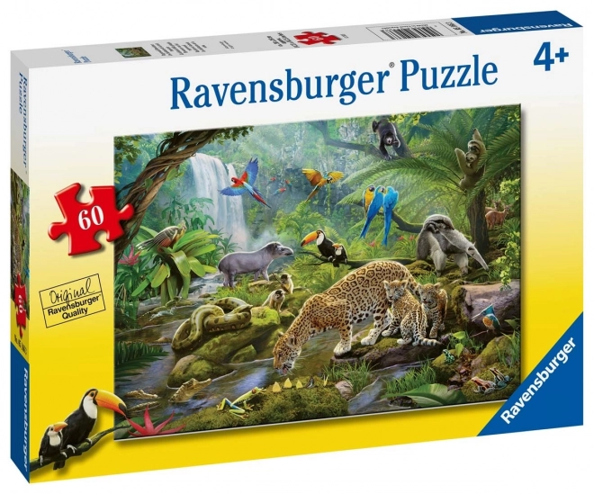Ravensburger Puzzle Tiere im Regenwald 60 Teile