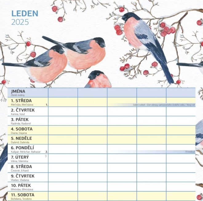 Familienplaner Kalender 2025 mit fröhlichen Illustrationen