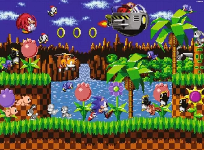Puzzle Igel Sonic 500 Teile