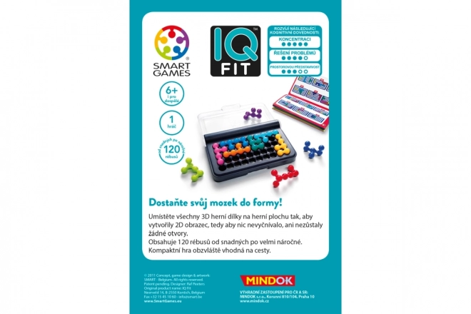 Smart - IQ Fit Puzzle-Spiel