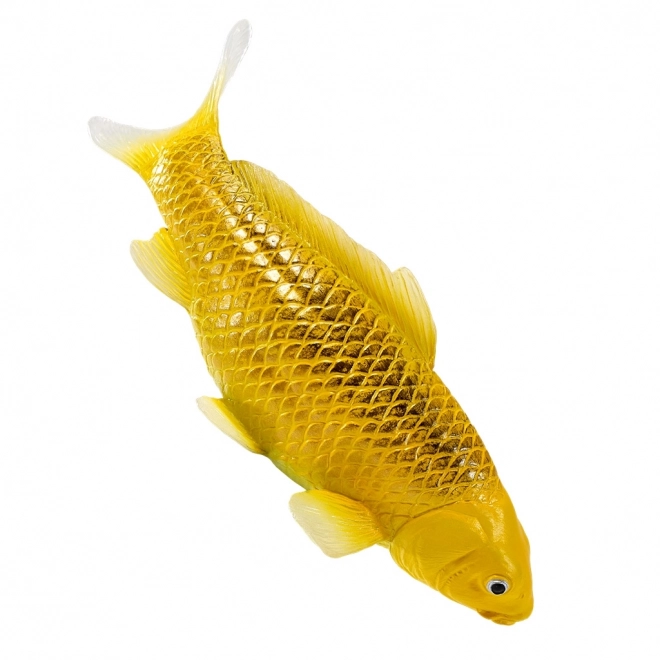 Mojo Karpfen Koi Matsuba