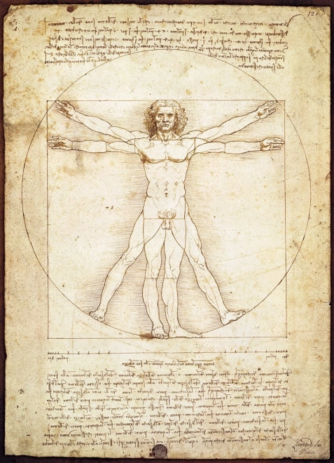 Eurographics Puzzle Der vitruvianische Mensch - Proportionen der menschlichen Figur 1000 Teile