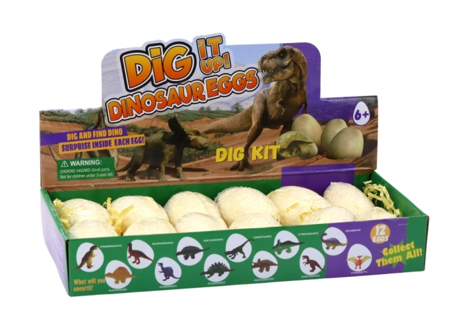 Archäologisches Dinosaurier-Eier-Set mit Karten - 12 Stück