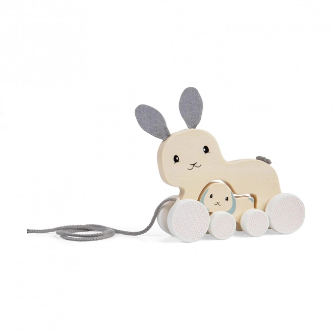 Bigjigs Toys Nachzieh-Hase mit Baby