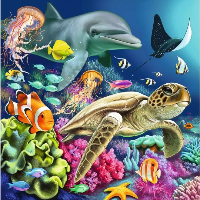 Puzzle Leben unter Wasser 3x49 Stücke