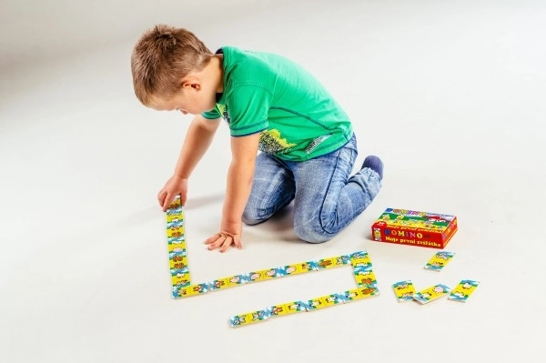 Mein Erstes Domino Tiere Holzspiel